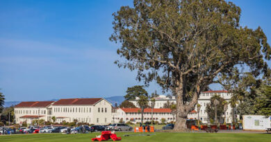 intretinere spatii verzi cluj