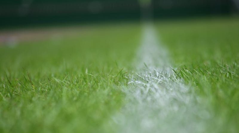 întreținere terenuri sportive naturale