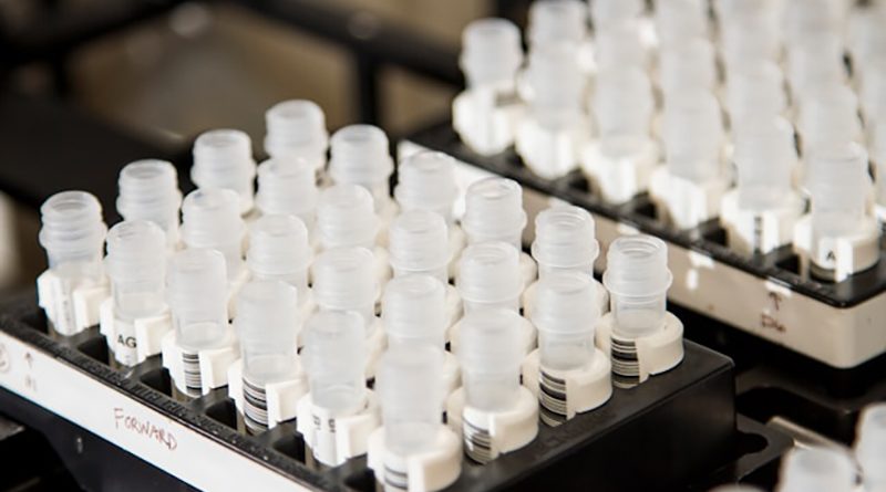 AnalizeOnline Laborator de Analize