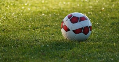 regulate de intretinere terenuri de sport artificiale