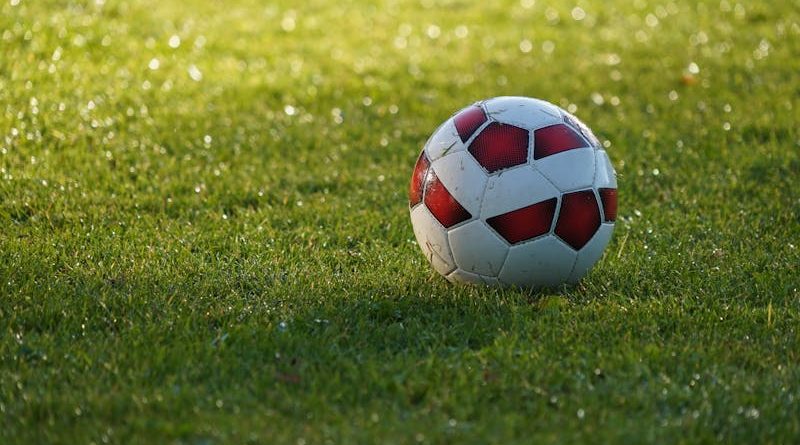 regulate de intretinere terenuri de sport artificiale