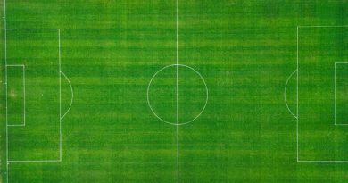 SportsFields