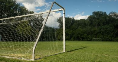 Natural, artificial sau hibrid? Cum alegi suprafata fara sa regreti peste doi ani servicii de amenajare terenuri sportive
